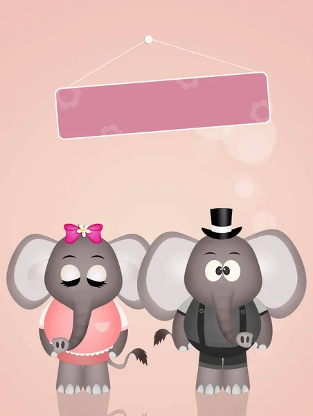 Bröllop av elefanter — Stockfoto