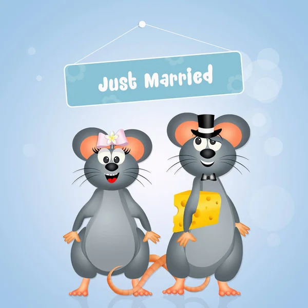 Wedding of mice — Stock Photo, Image