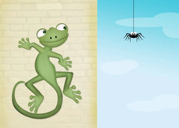 Gecko and spider Stock Image