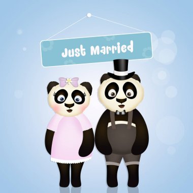 pandalar aşka