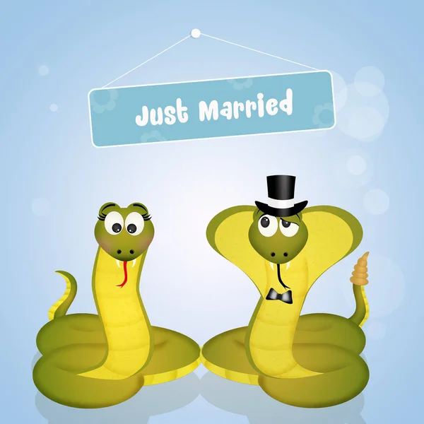 Divertenti sposi serpenti — Foto Stock