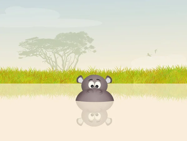 Bébé hippopotame dans l'étang — Photo