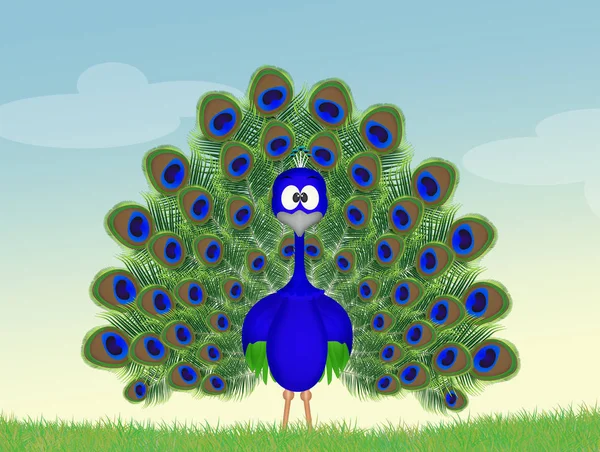 Vackra peacock tecknad — Stockfoto