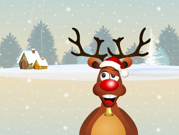Reindeer in winter — Stock Photo, Image