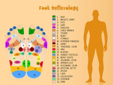 foot reflexology diagram clipart