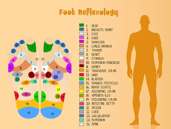 Foot reflexology diagram — Stock Photo, Image