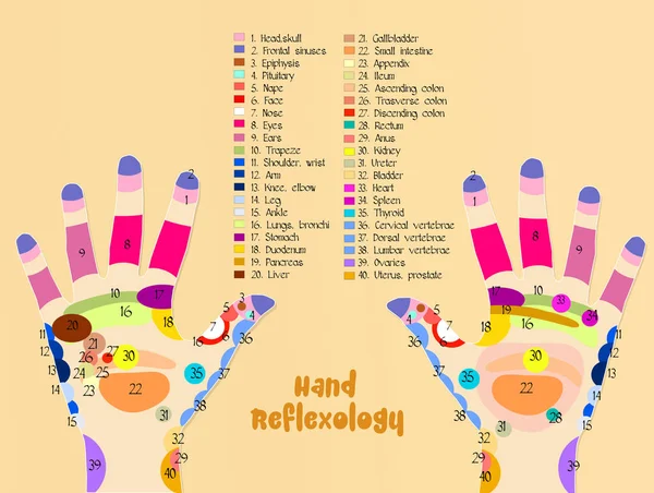 Hand reflexology chart — Stock Photo, Image