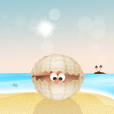 istiridye kabuğu sahilde