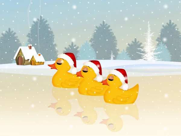 Familia de patos en Navidad — Foto de Stock