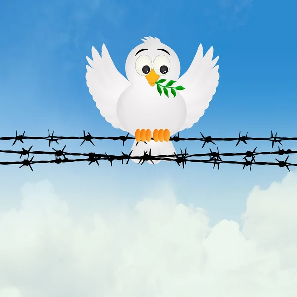 Dove with olive tree on the barbed wire — Stock Photo, Image