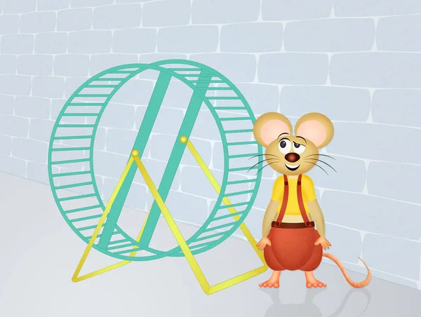 Der Hamster im Rad — Stockfoto