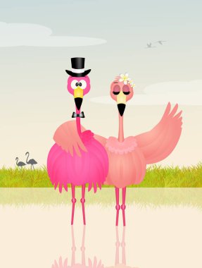 Pembe flamingolar düğün
