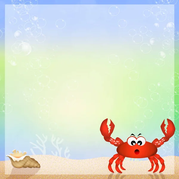 Krabba i havet — Stockfoto