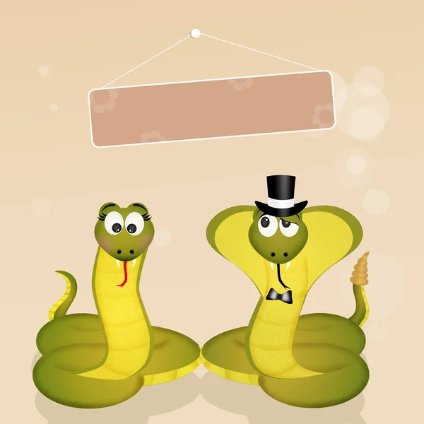 Coppia di serpenti — Foto Stock