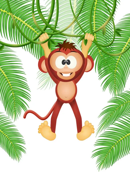 Macaco nas lianas — Fotografia de Stock