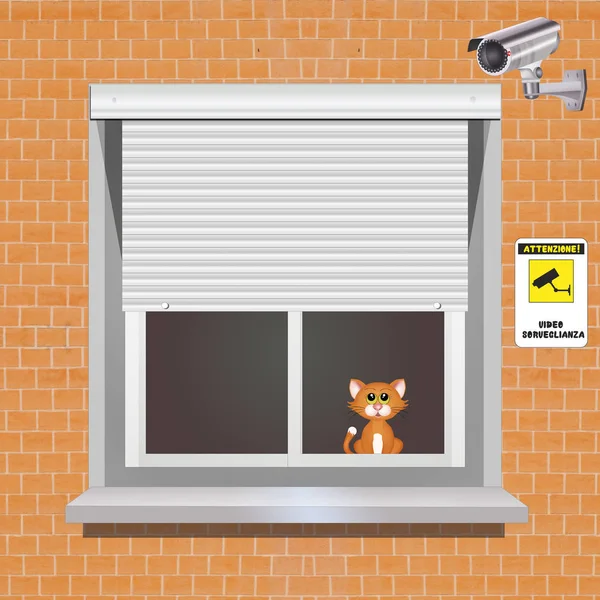 Video surveillance home