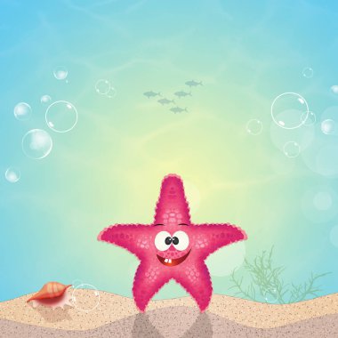 Deniz yıldızı deniz yatağı üzerinde