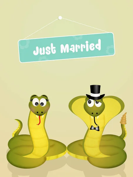 Düğün yılan — Stok fotoğraf