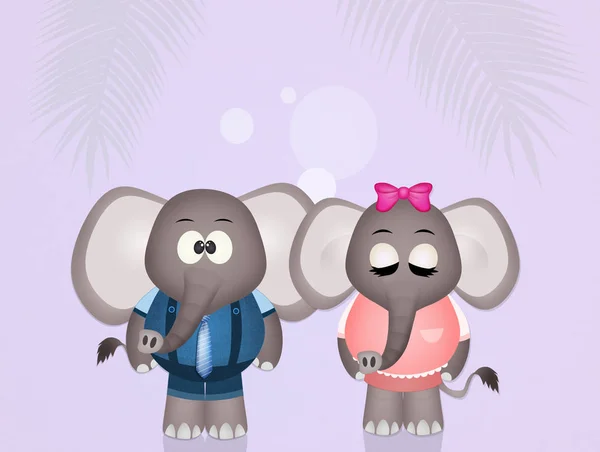 Funny elephants couple — Stock Photo, Image