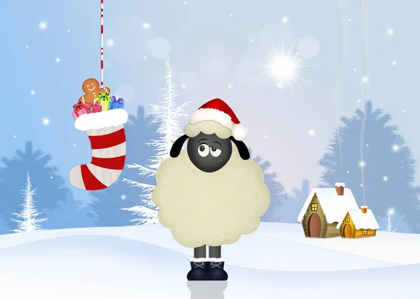 Sheep at Christmas — Stock Photo, Image