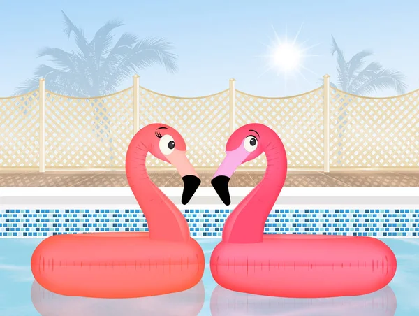 膨脹可能なピンクのフラミンゴのカップル — ストック写真