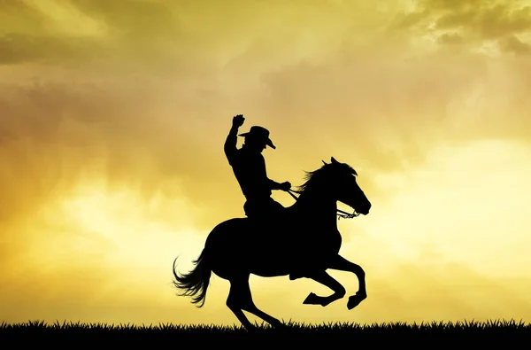 Rodeo cowboy człowiek o zachodzie słońca — Zdjęcie stockowe