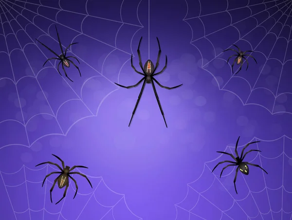 Ilustração de aranhas — Fotografia de Stock