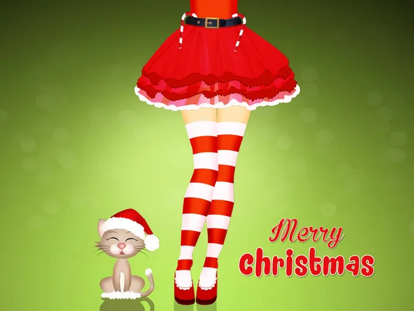 Рождественские ноги и кошка — стоковое фото