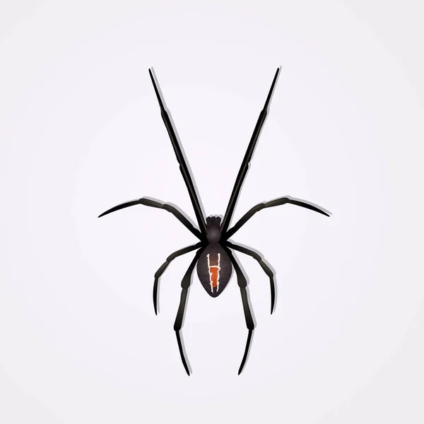 Illustration of spiders — Stock Photo, Image