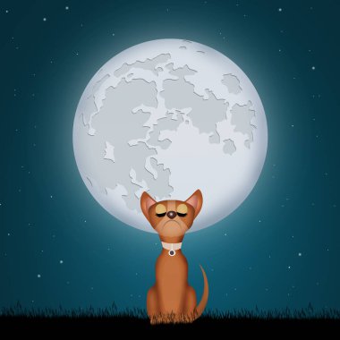 ay ışığında köpek yavrusu