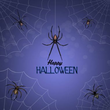 Örümceklerle Cadılar Bayramı