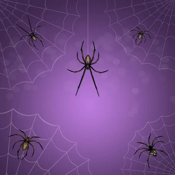 Edderkopper og sort enke - Stock-foto