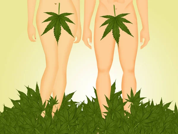 Adam and Eve in the Eden withe marijuana leaf — Stock Photo, Image