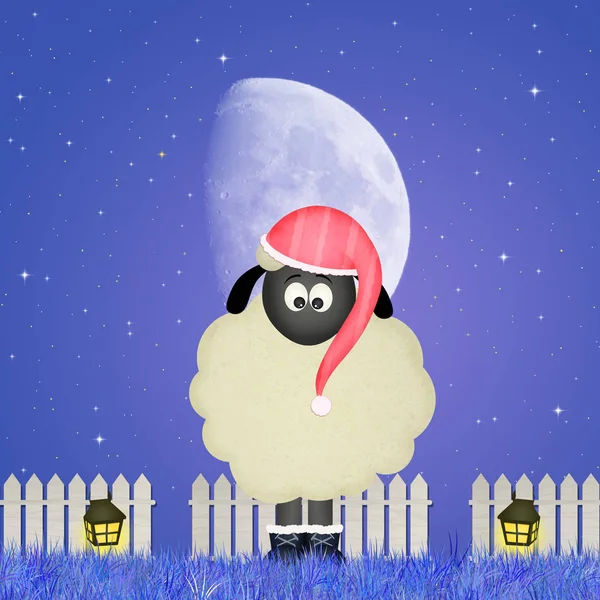 Sheep with nightcap — Stock Photo, Image