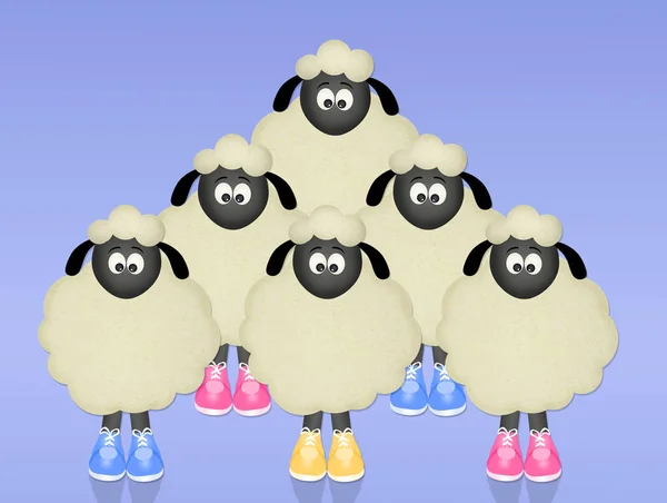 Sheeps with shoes — Stock Photo, Image