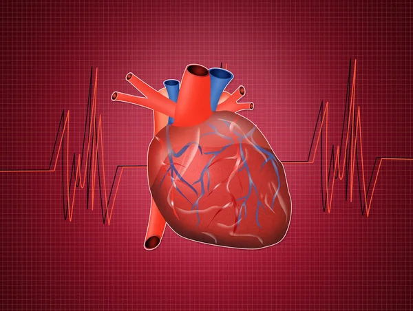 Ilustração do eletrocardiograma — Fotografia de Stock