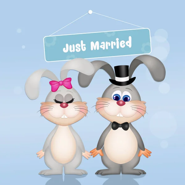 Matrimonio di coniglietti — Foto Stock