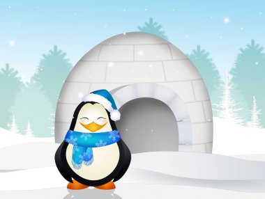 Igloo penguen