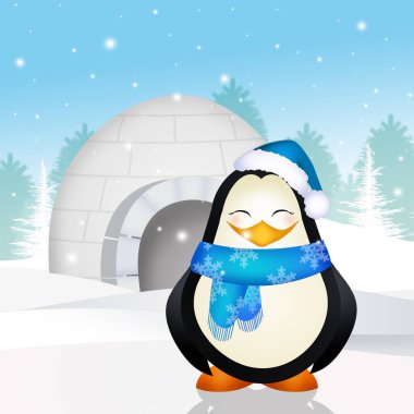 Igloo penguen