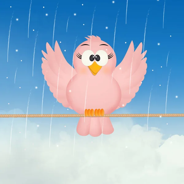 Fågel i regnet — Stockfoto