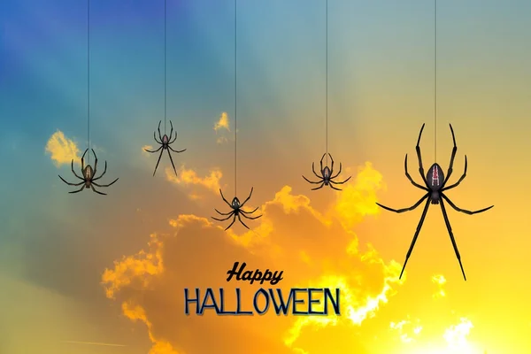 Halloween spiders at sunset — Stock Photo, Image