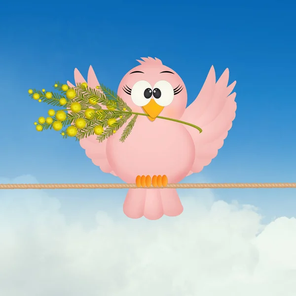 Птах на квітах мімози — стокове фото