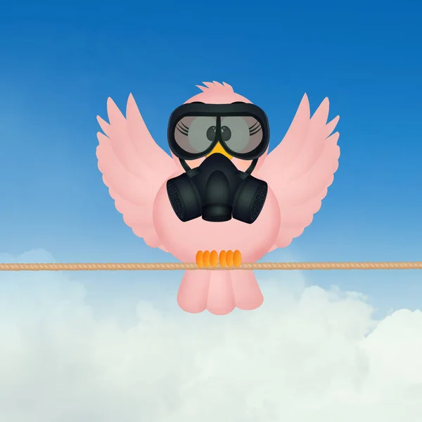 Fågel med en gasmask — Stockfoto