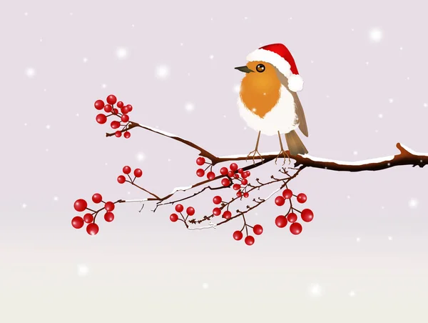Robin with Christmas hat — Stock Photo, Image