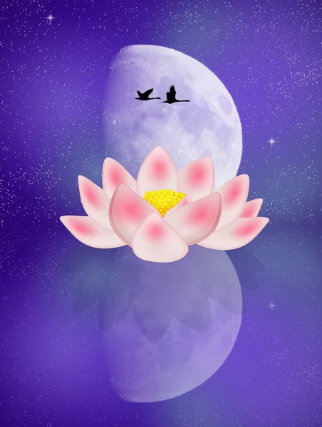 Lotus çiçeği ay ışığında — Stok fotoğraf