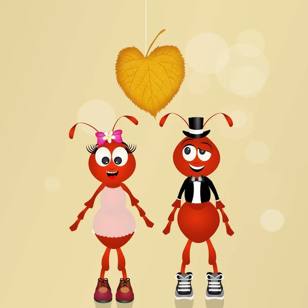 Ants spouses — Stock Photo, Image