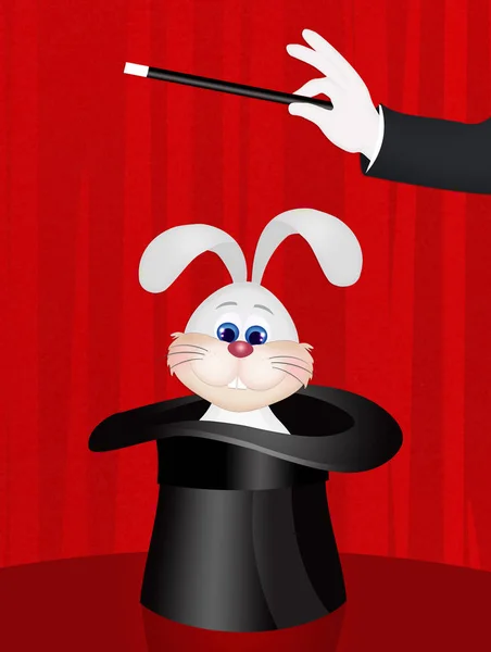 Espectáculo de mago con conejo en el sombrero — Foto de Stock