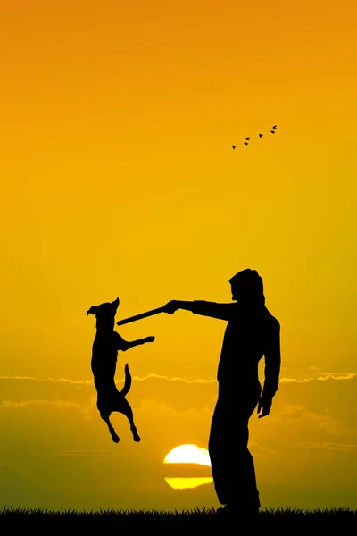 Cão treinado ao pôr do sol — Fotografia de Stock