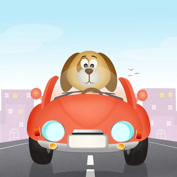 Dog on car — Stock Photo, Image