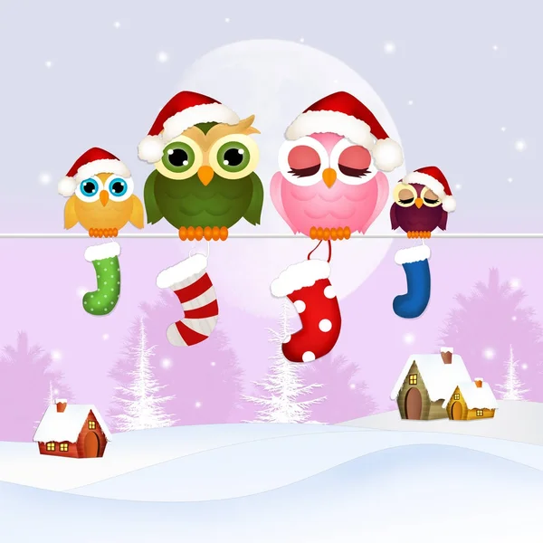 Owls family with Christmas socks — Stock Photo, Image